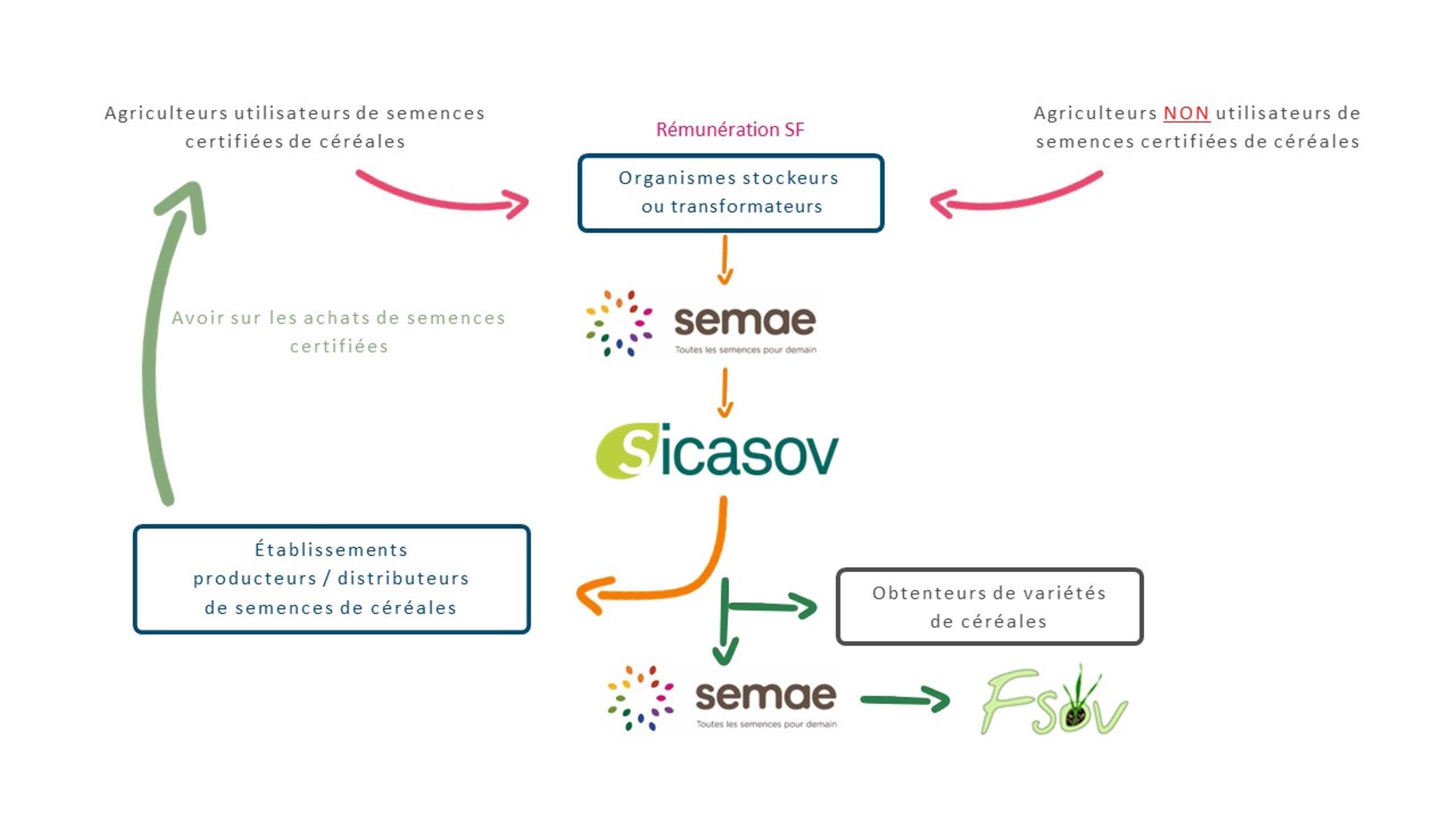 cliquer pour agrandir